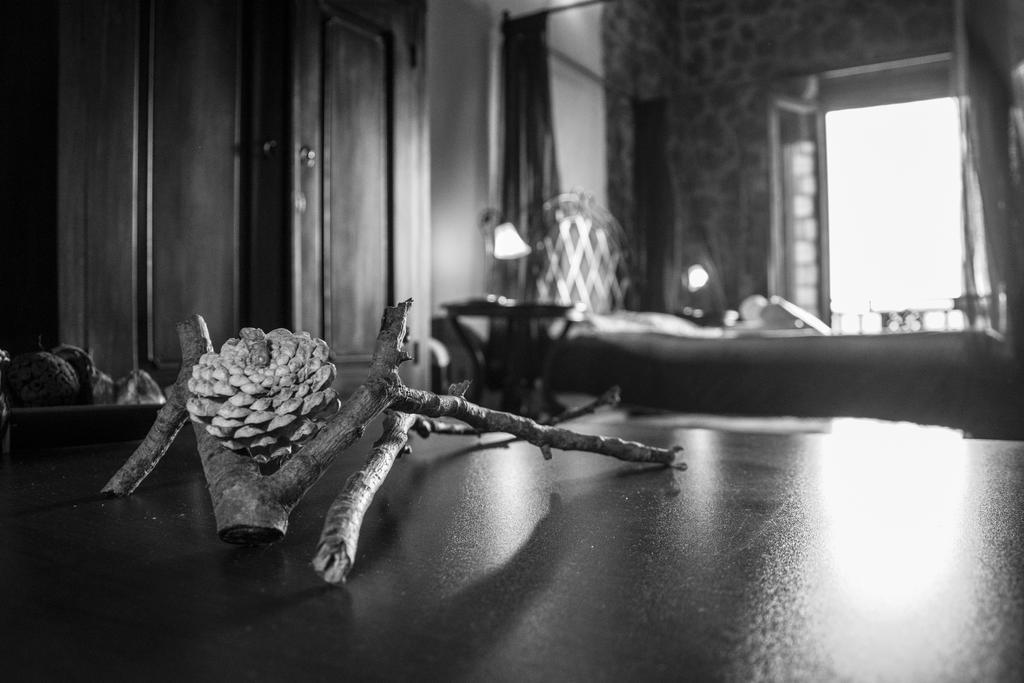 Theasis Suites-Ορεινή Φιλοξενία Kato Sinikia Trikalon Exteriér fotografie